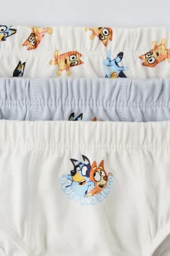 2-6 ANOS/ CONJUNTO DE TRÊS CUECAS BLUEY © LUDO STUDIO-ZARA Shop