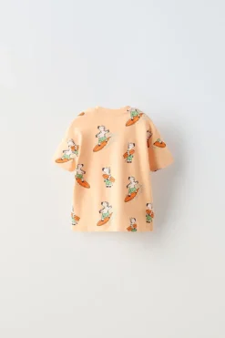 1-6 ANOS/ CONJUNTO ZEBRAS SURF-ZARA Online