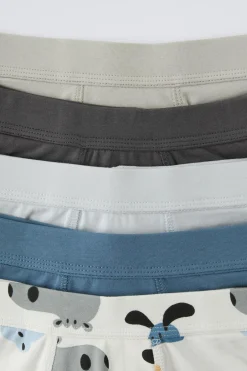 3-6 ANOS/ PACK DE CINCO BOXERS ANIMAIS-ZARA Sale