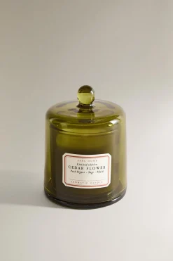 ZARA Fragrâncias Para Casa|Fragrâncias Para Casa^(140 G) VELA AROMÁTICA CEDAR FLOWER Esmeralda