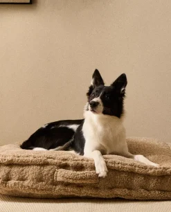 ZARA Animais De Estimação|Animais De Estimação^ALMOFADA XL PARA ANIMAIS DE ESTIMAÇÃO COM PELO Bege