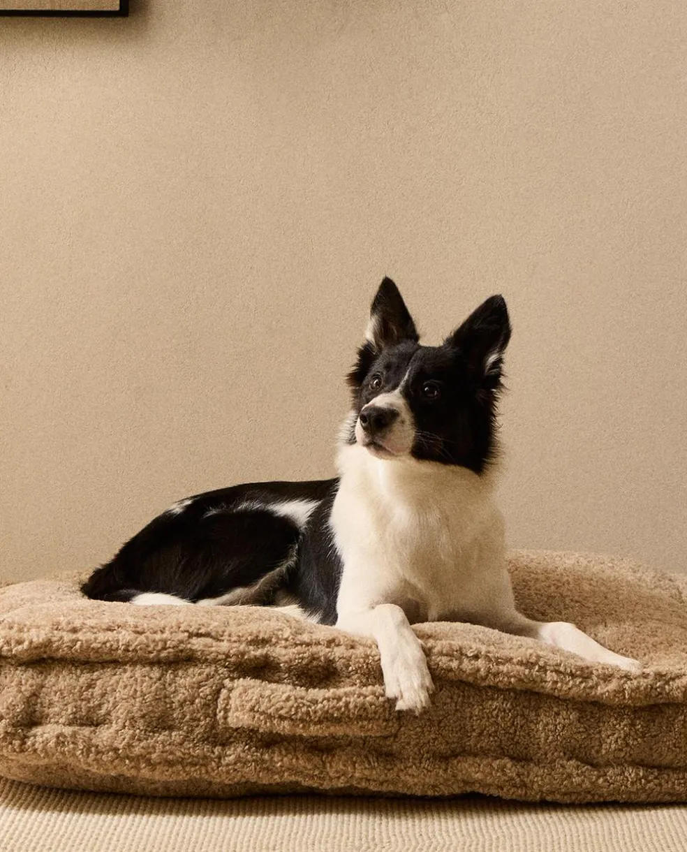 ZARA Animais De Estimação|Animais De Estimação^ALMOFADA XL PARA ANIMAIS DE ESTIMAÇÃO COM PELO Bege