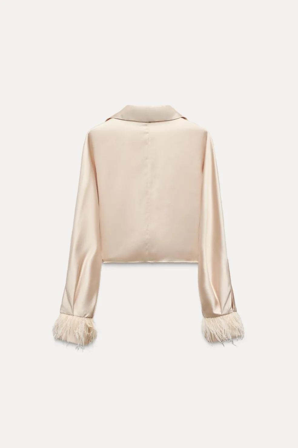 ZARA Tops / Bodies|Camisas / Blusas^BLUSA CROPPED ACETINADA COM PENAS rosa-bege