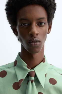ZARA Camisas^CAMISA COM ESTAMPADO LUNARES X HARRY LAMBERT Preto / Verde
