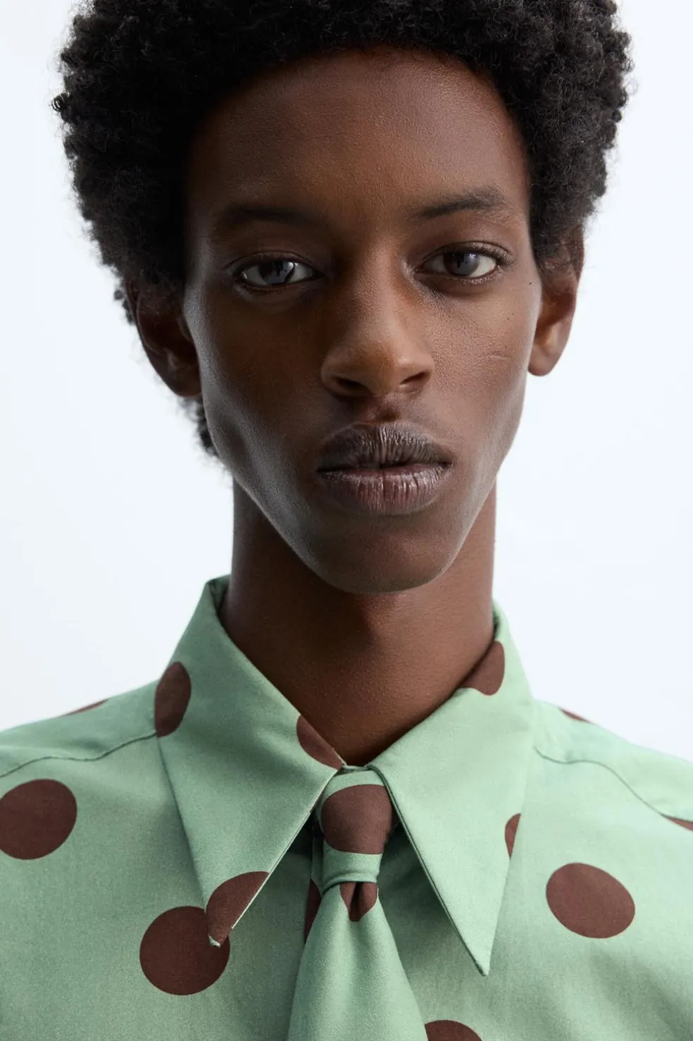 ZARA Camisas^CAMISA COM ESTAMPADO LUNARES X HARRY LAMBERT Preto / Verde
