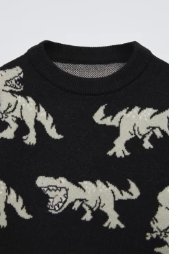 CAMISOLA DE MALHA DINOSSAUROS-ZARA Flash Sale