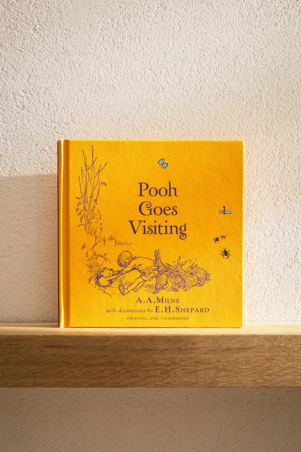 LIVRO INFANTIL WINNIE THE POOH: 'POOH GOES VISITING'-ZARA Best