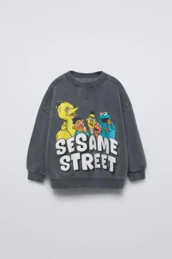 SWEATSHIRT COM EFEITO LAVADO BARRIO SÉSAMO ©-ZARA Cheap