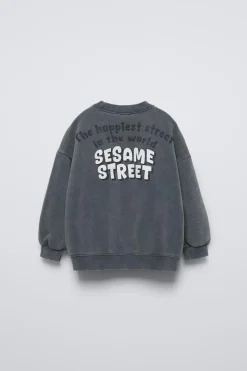 SWEATSHIRT COM EFEITO LAVADO BARRIO SÉSAMO ©-ZARA Cheap