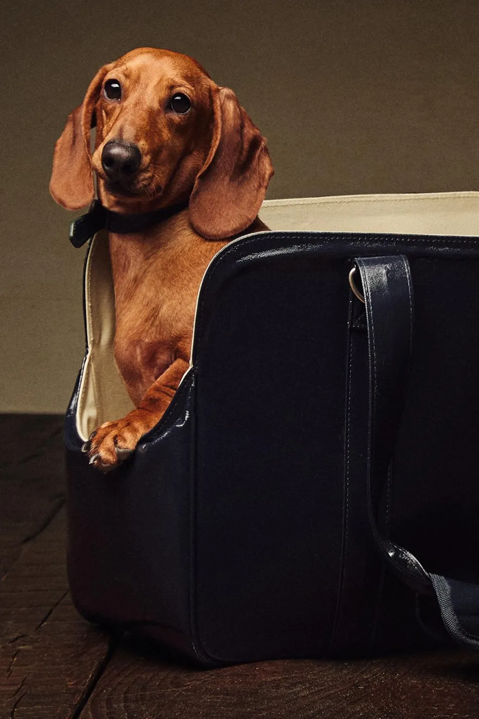 ZARA Animais De Estimação|Animais De Estimação^TRANSPORTADORA ANIMAIS DE ESTIMAÇÃO IMPERMEÁVEL Azul