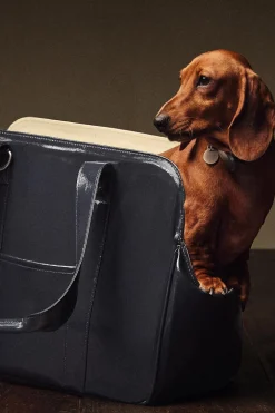 ZARA Animais De Estimação|Animais De Estimação^TRANSPORTADORA ANIMAIS DE ESTIMAÇÃO IMPERMEÁVEL Azul