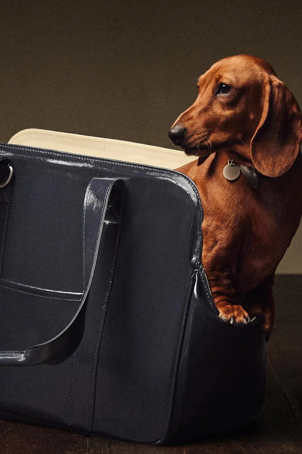 ZARA Animais De Estimação|Animais De Estimação^TRANSPORTADORA ANIMAIS DE ESTIMAÇÃO IMPERMEÁVEL Azul