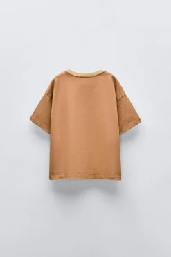 T-SHIRT PEIXE COM BORDADOS-ZARA Flash Sale